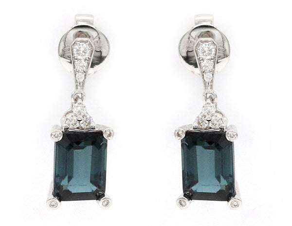 Earrings ME019503